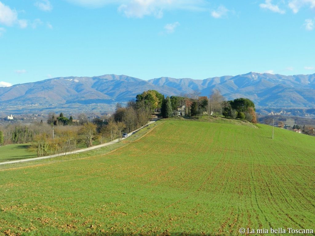 Colline Incisa Valdarno