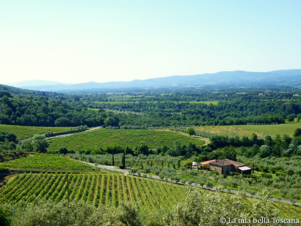 Panorama Valdarno