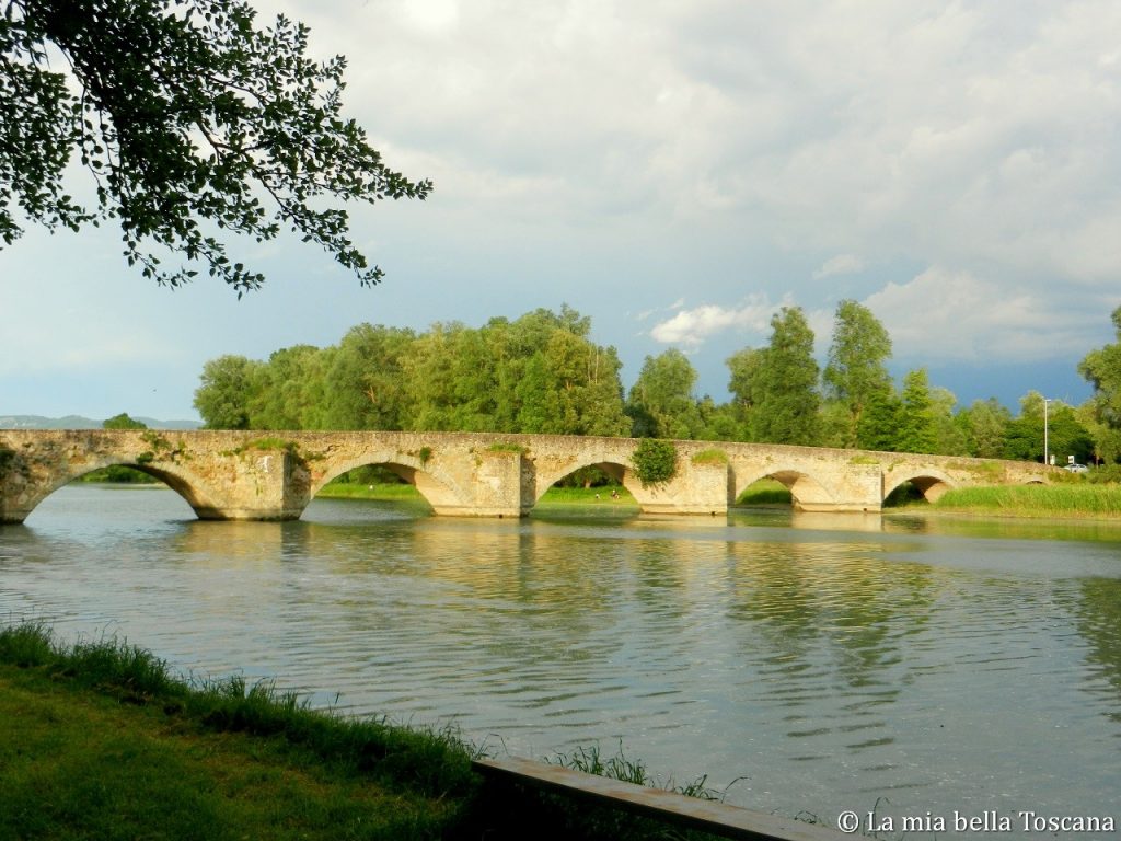 Il ponte di Leonardo