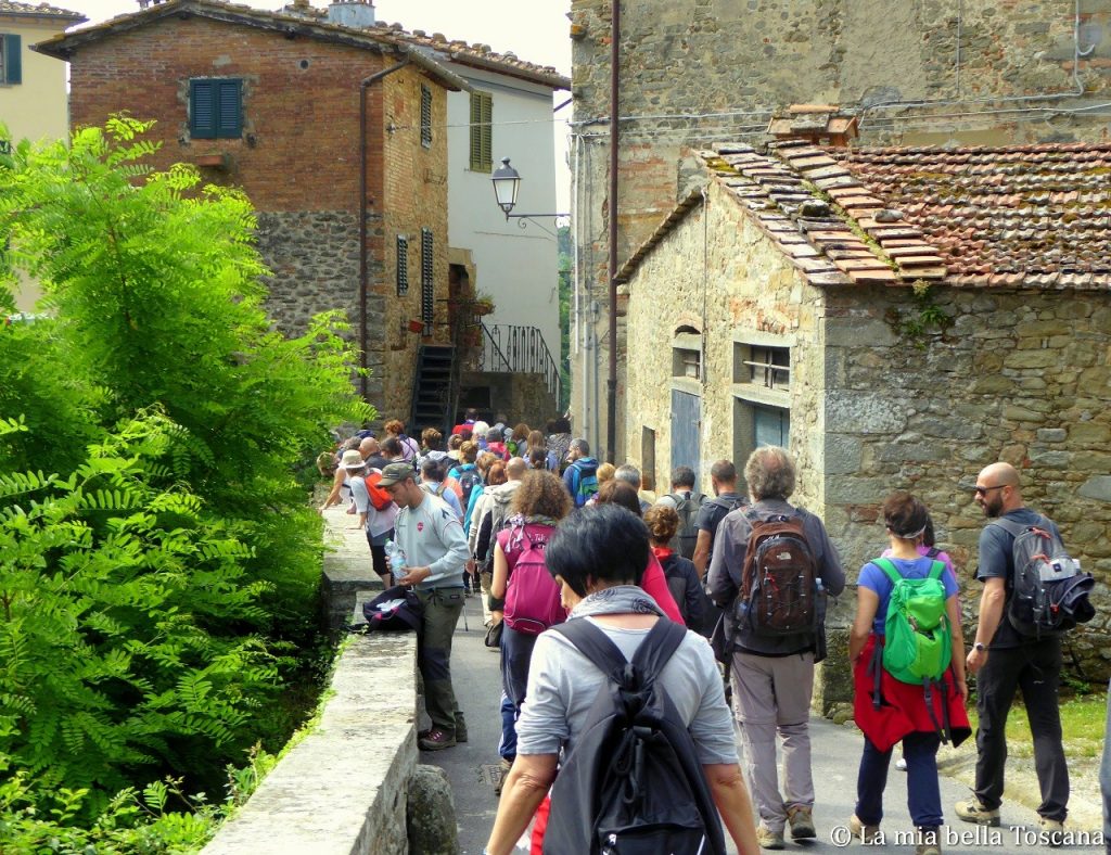 Camminate in Valdarno