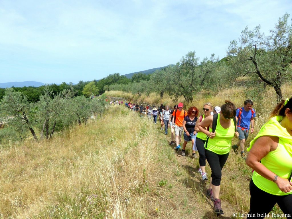 Camminate in Valdarno