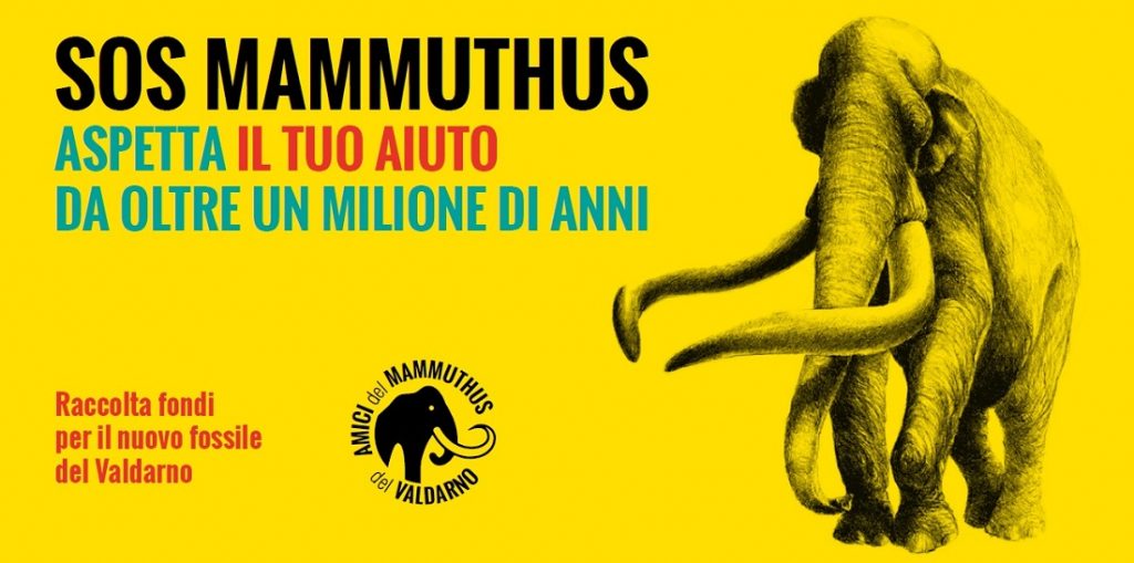 Raccolta fondi restauro mammuthus