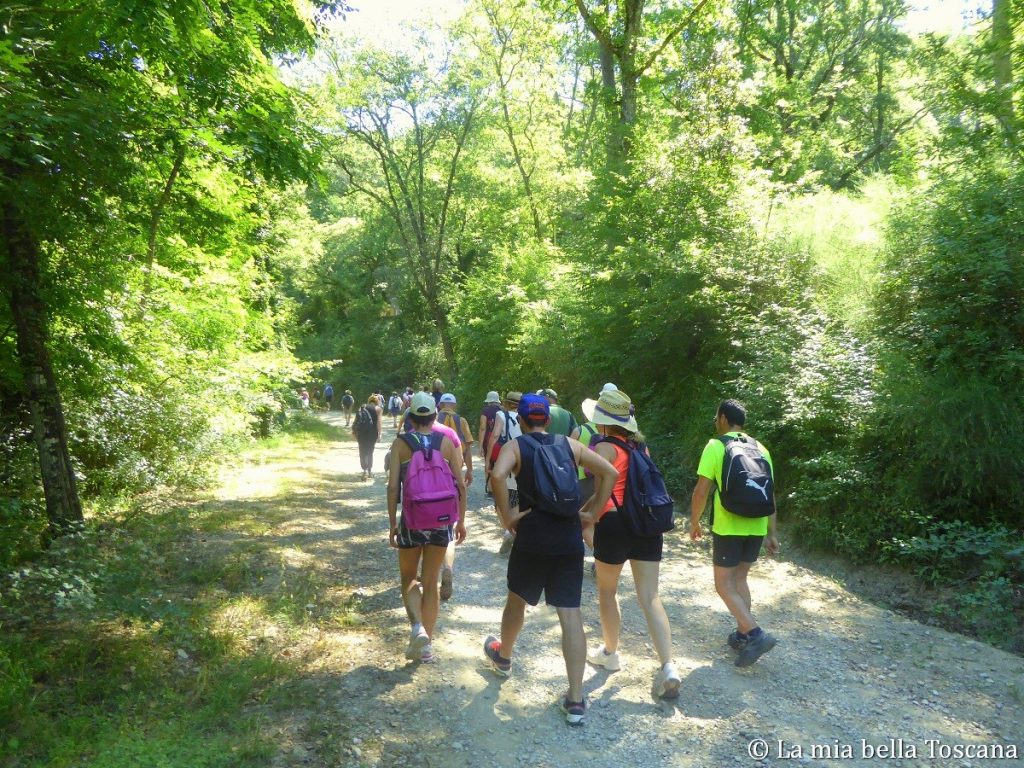 Camminate in Valdarno