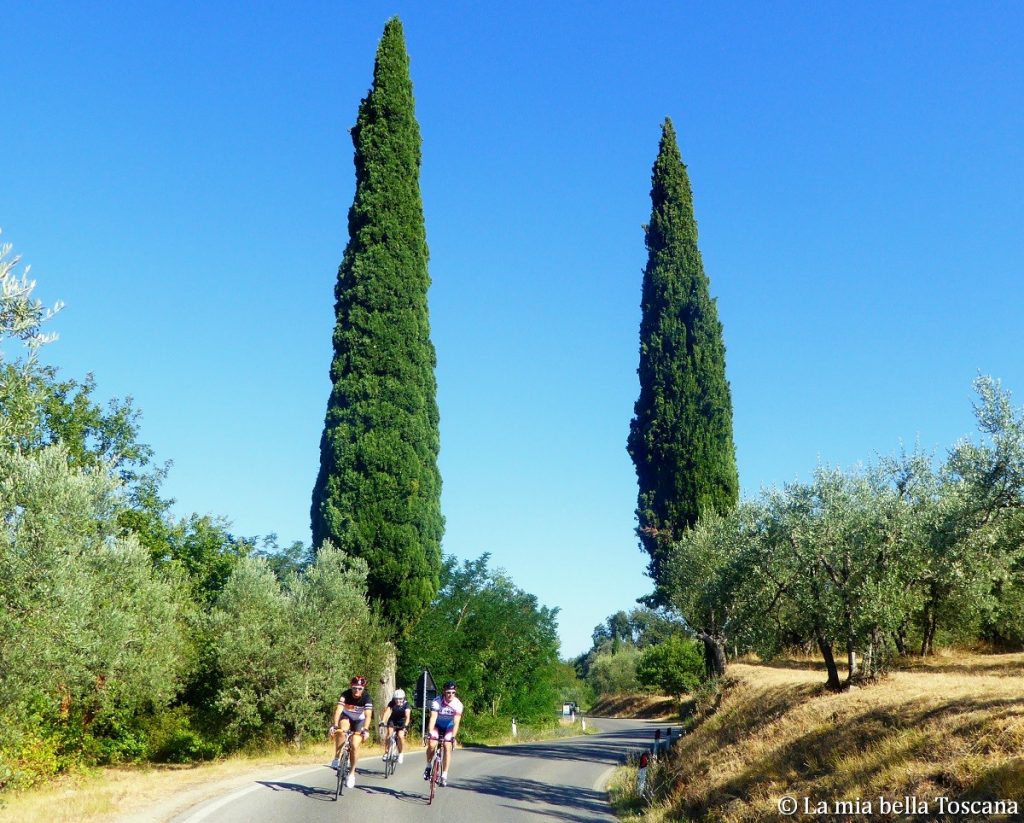 La strada dei Setteponti
