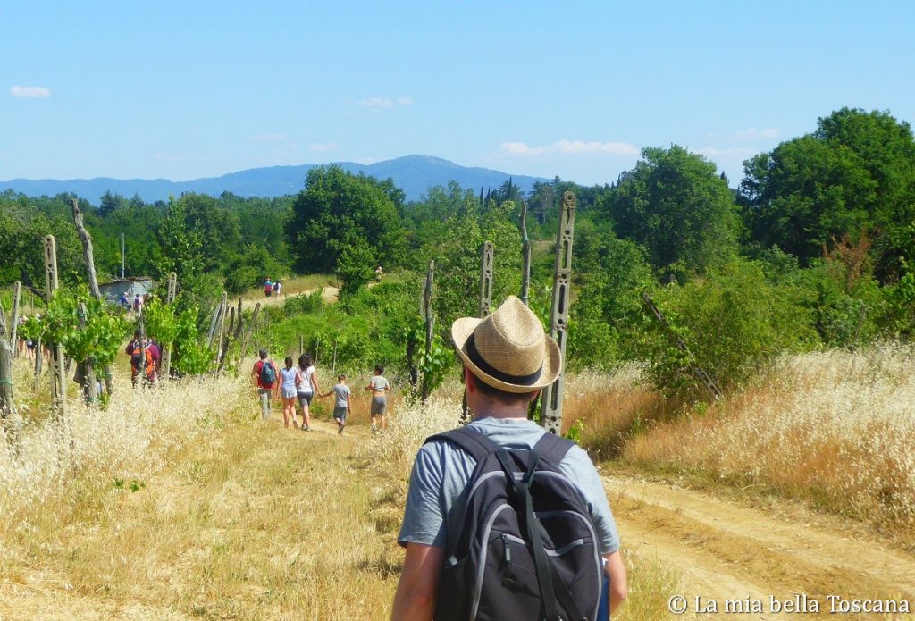 Camminare in Valdarno