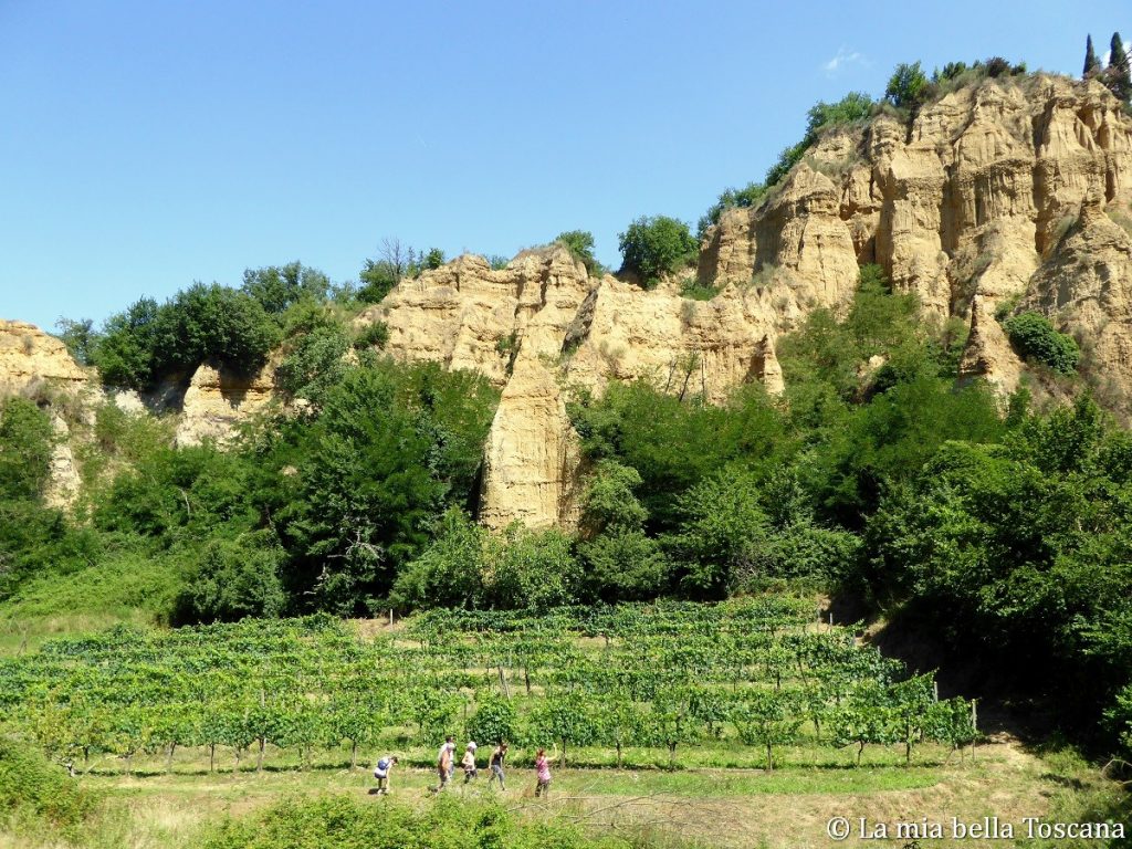 Balze del Valdarno a Persignano