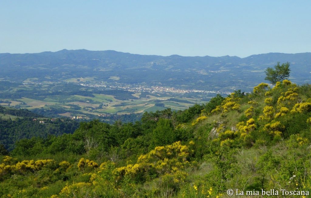 Poggio di Montrago
