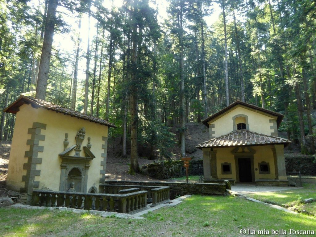 Foresta di Vallombrosa